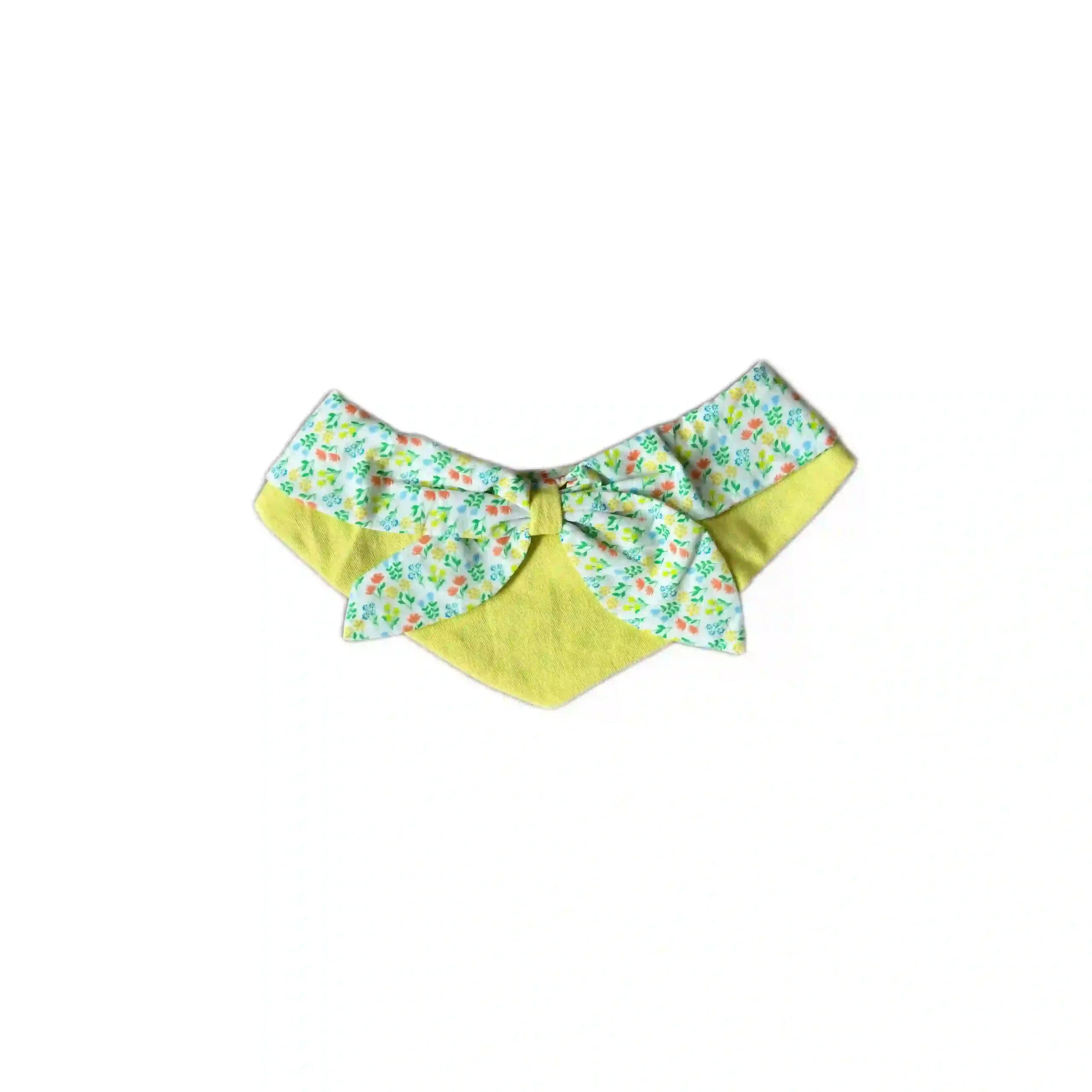 The Vibrant Summer: Multi-Color Pet Bandana