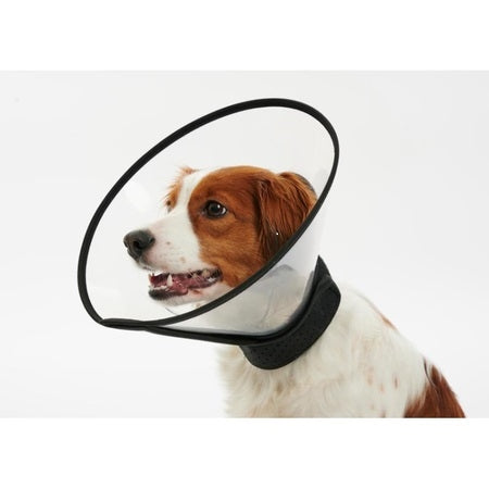 Elizabethan Collar For Large Breeds